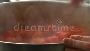 一个不锈钢锅上的番茄